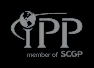 iPP 1.png